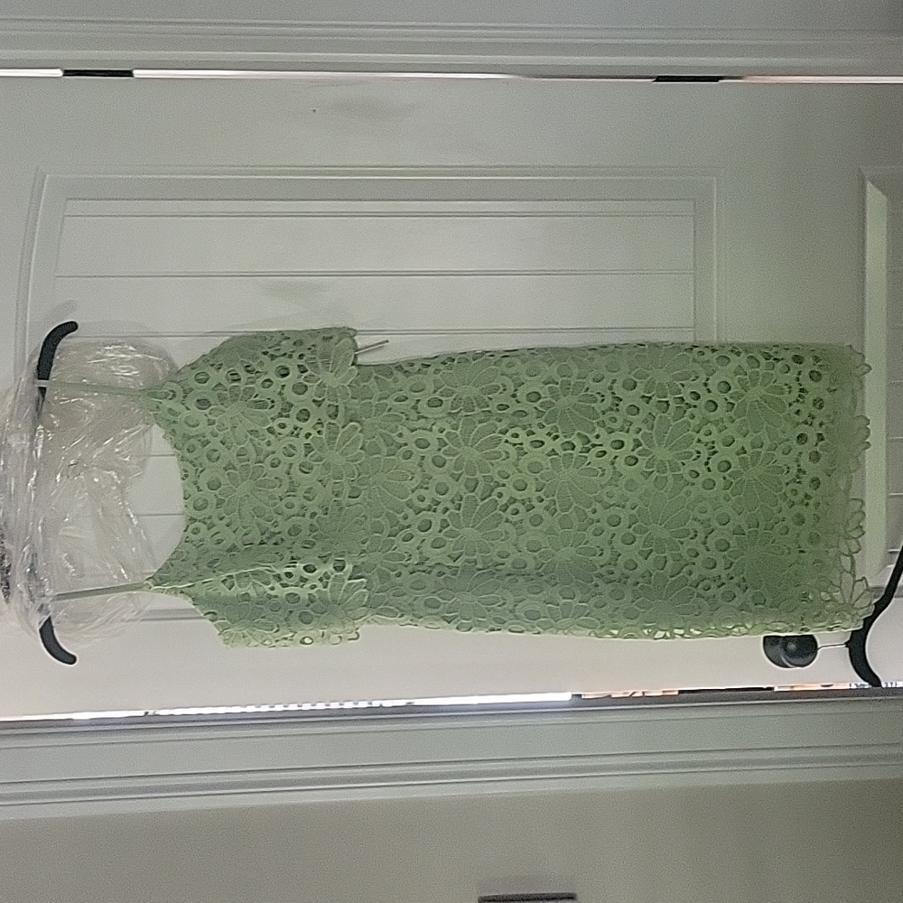 NEW  Bella Donna lined lace dress